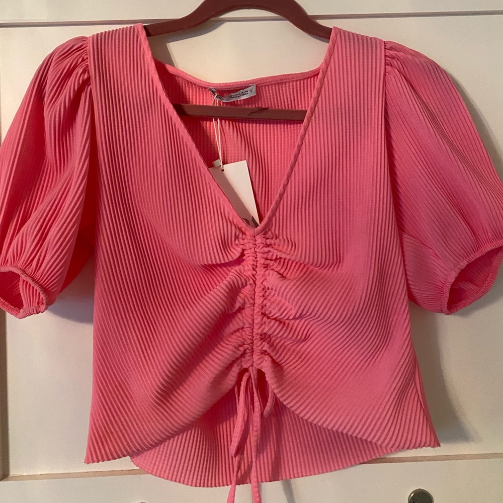 Pink Cropped Puffy Sleeve Zara Top